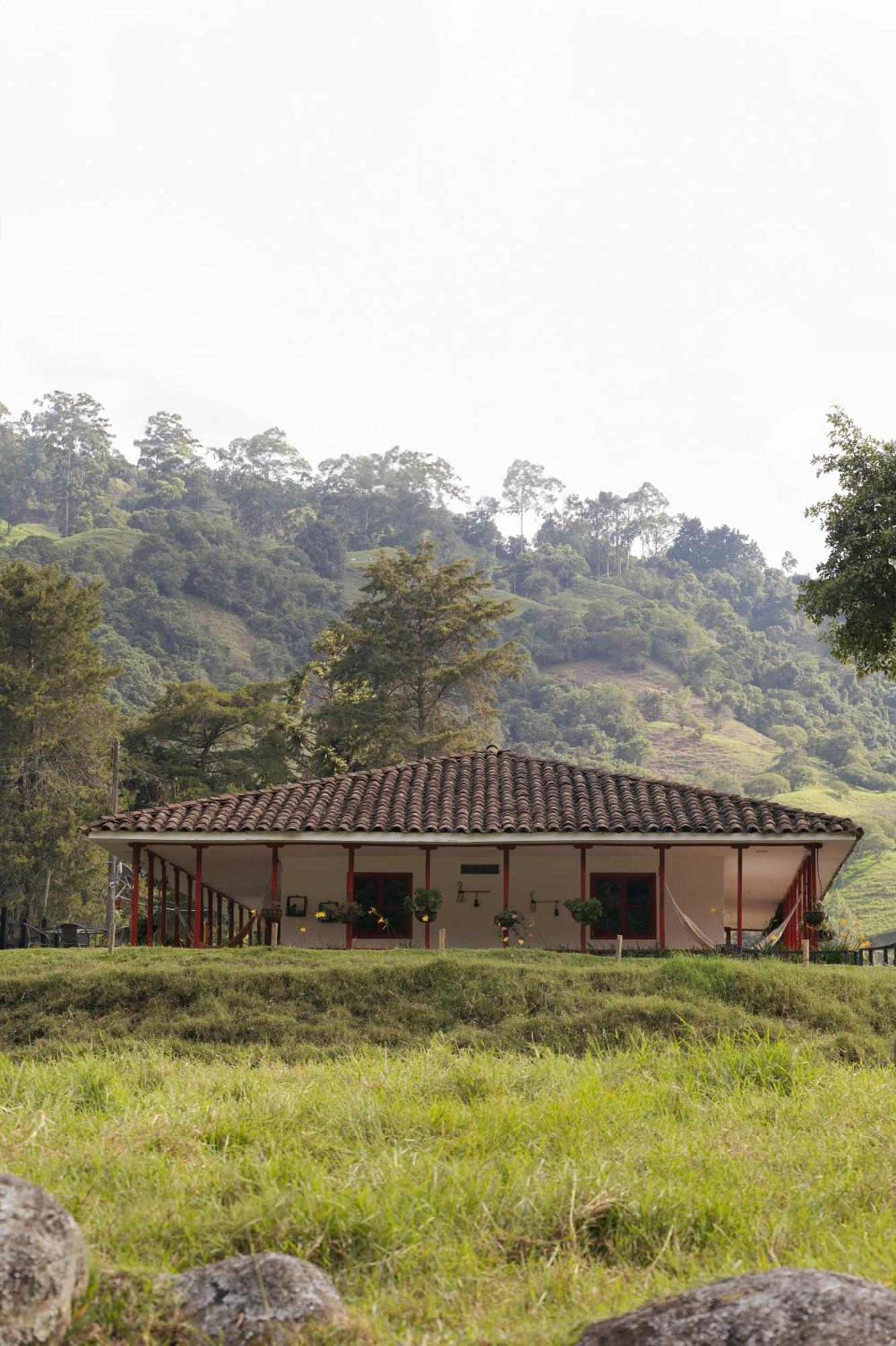 La Cabana Ecohotel - Valle Del Cocora Salento Buitenkant foto