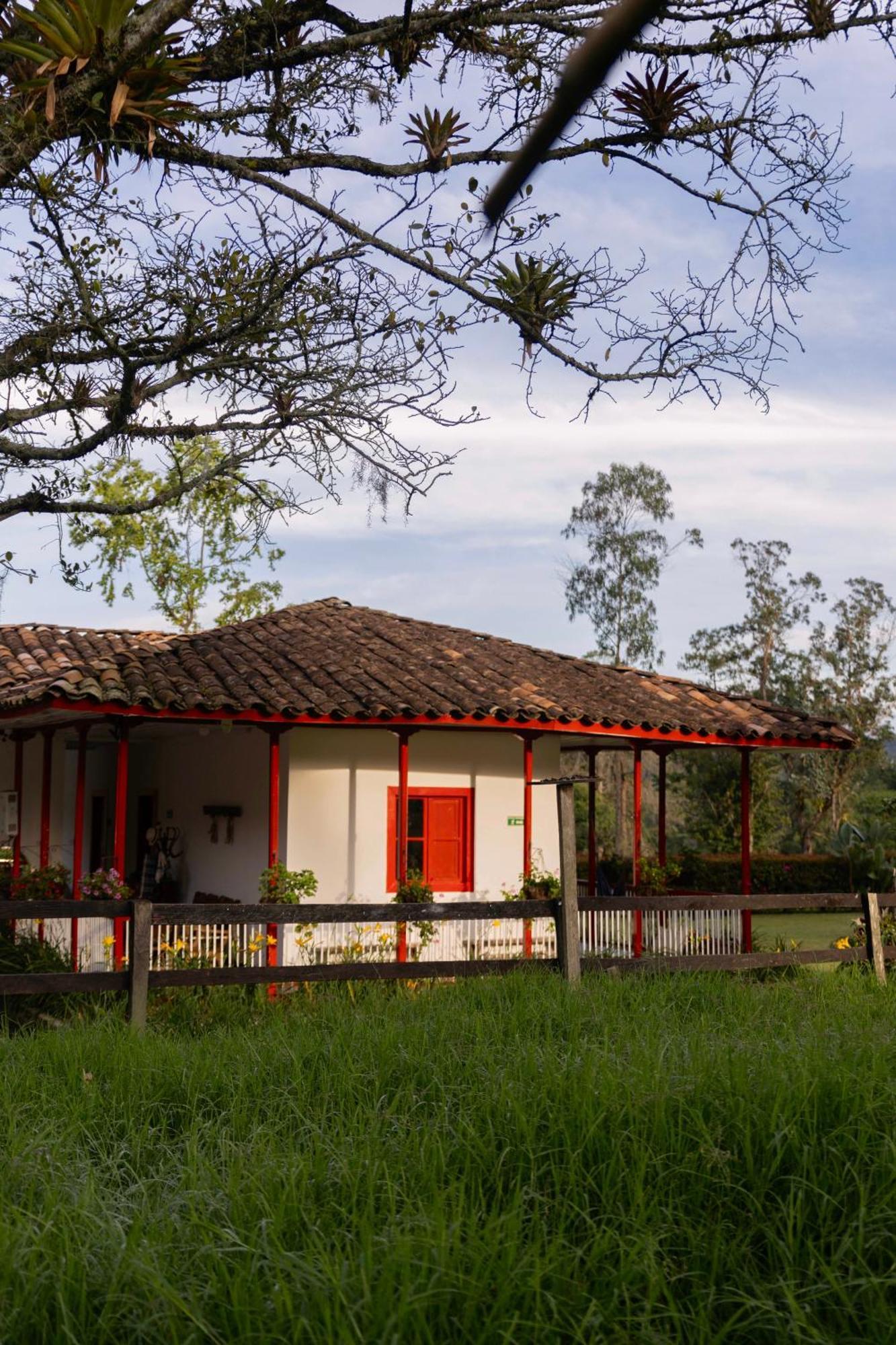 La Cabana Ecohotel - Valle Del Cocora Salento Buitenkant foto