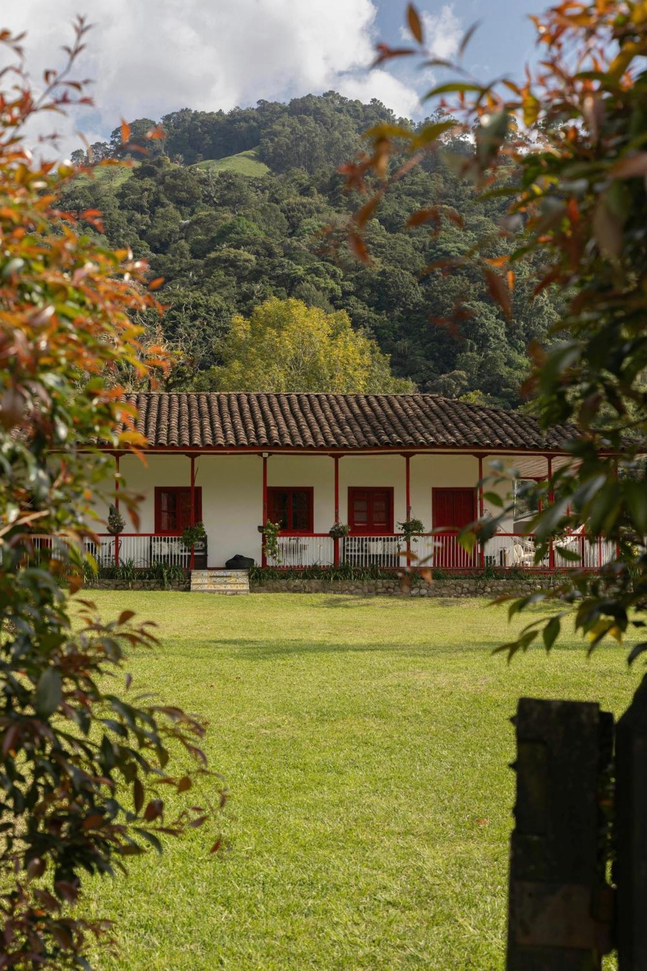 La Cabana Ecohotel - Valle Del Cocora Salento Buitenkant foto